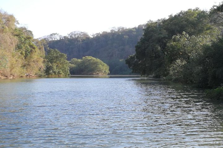 Mangrove Kayak  - Photo 1 of 2